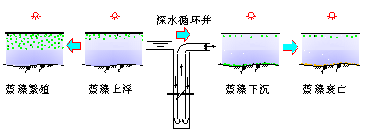 深井增壓控制水體藍(lán)藻生長繁殖原理 